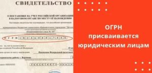 Кто Присваивает Огрн Юридическому Лицу