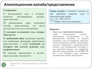 Апелляционная жалоба представление на приговор может быть подана