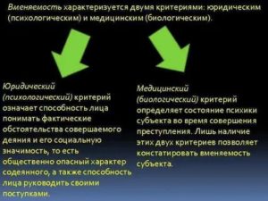 Вменяемость и невменяемость субъекта преступления в уголовном праве