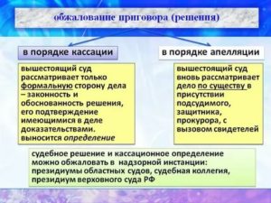 Куда Может Обжаловать Это Решение
