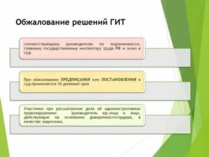 Куда Может Обжаловать Это Решение