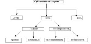 Вина мотив цель преступления и их значение в уголовном праве