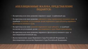 Апелляционная жалоба представление на приговор может быть подана