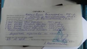 Кто Включается в Справку о Составе Семьи