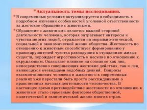 Как привлечь к уголовной ответственности за жестокое обращение с животными