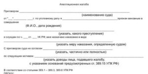 Апелляционная жалоба на приговор районного суда уголовному делу образец