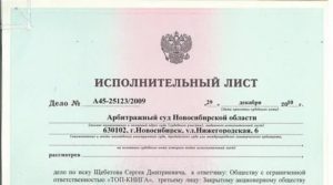 Куда Направлять Исполнительный Лист Арбитражного Суда