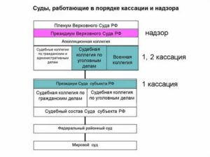 Куда Подается Кассационная Жалоба Апк