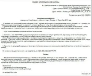Апелляционная жалоба на приговор суда по уголовному делу образец заполнения