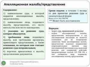 Апелляционная жалоба представление на приговор может быть подана