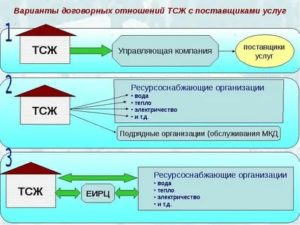 Кто Контролирует Деятельность Тсж