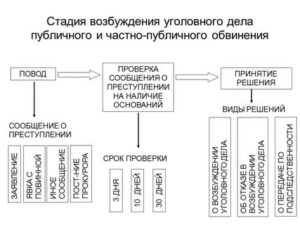 В какие сроки должно быть принято решение о возбуждении уголовного дела