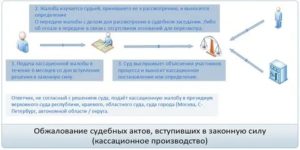 Куда Подается Кассационная Жалоба Апк
