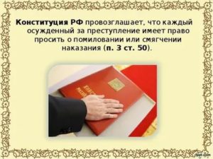 Каждый осужденный имеет право просить о помиловании или смягчения наказания